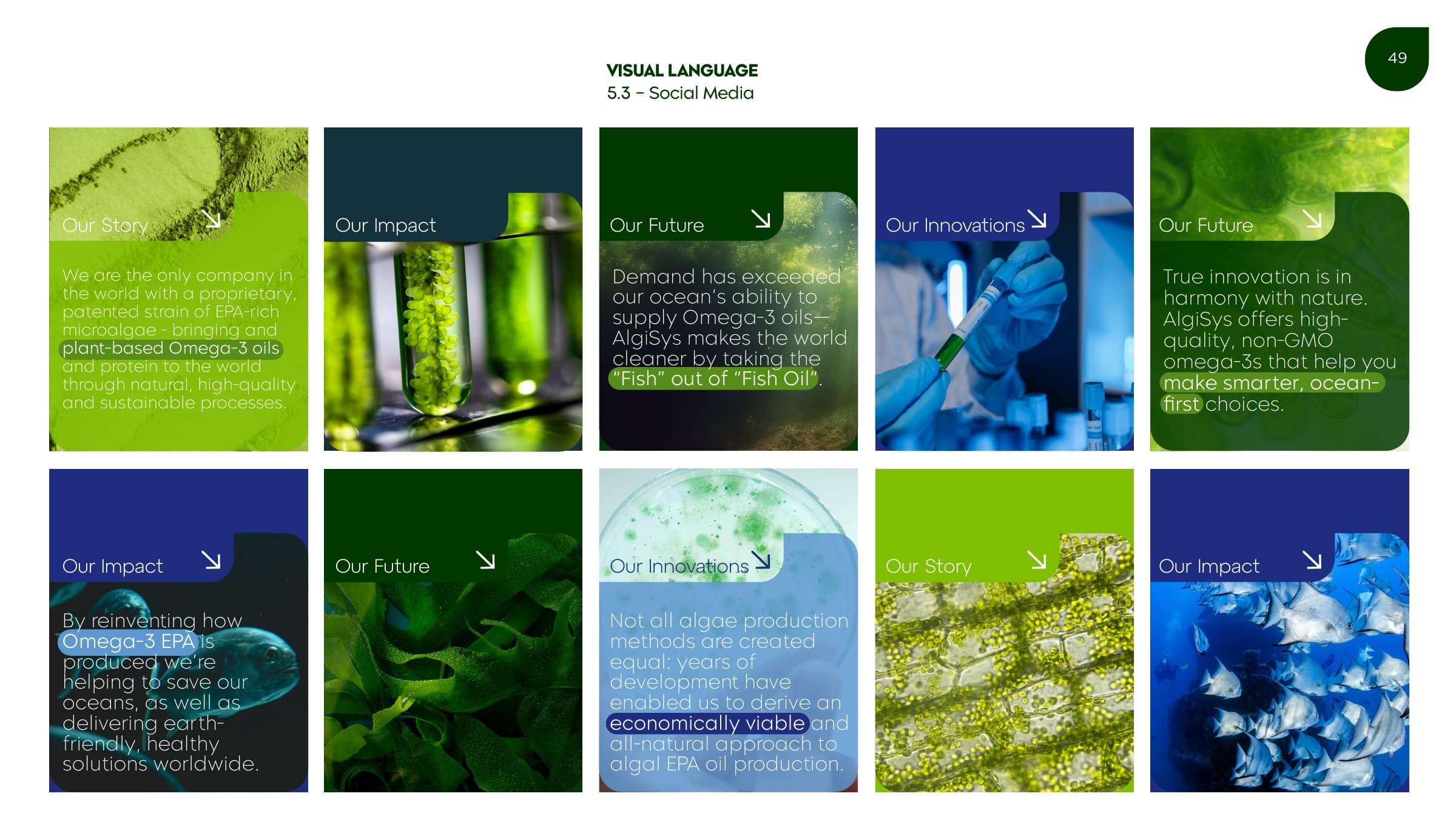 Identity guidelines page 49