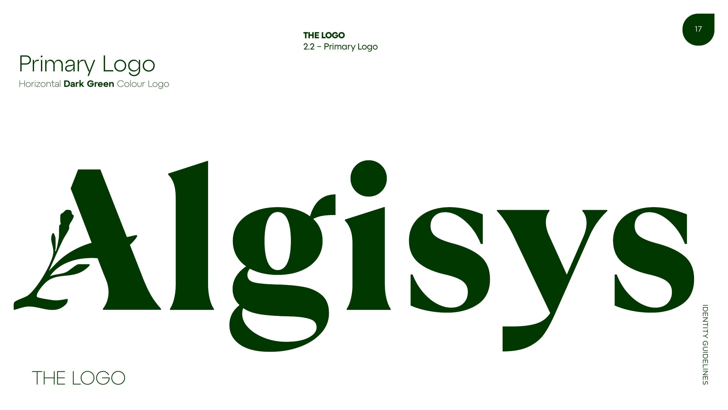 Identity guidelines page 17