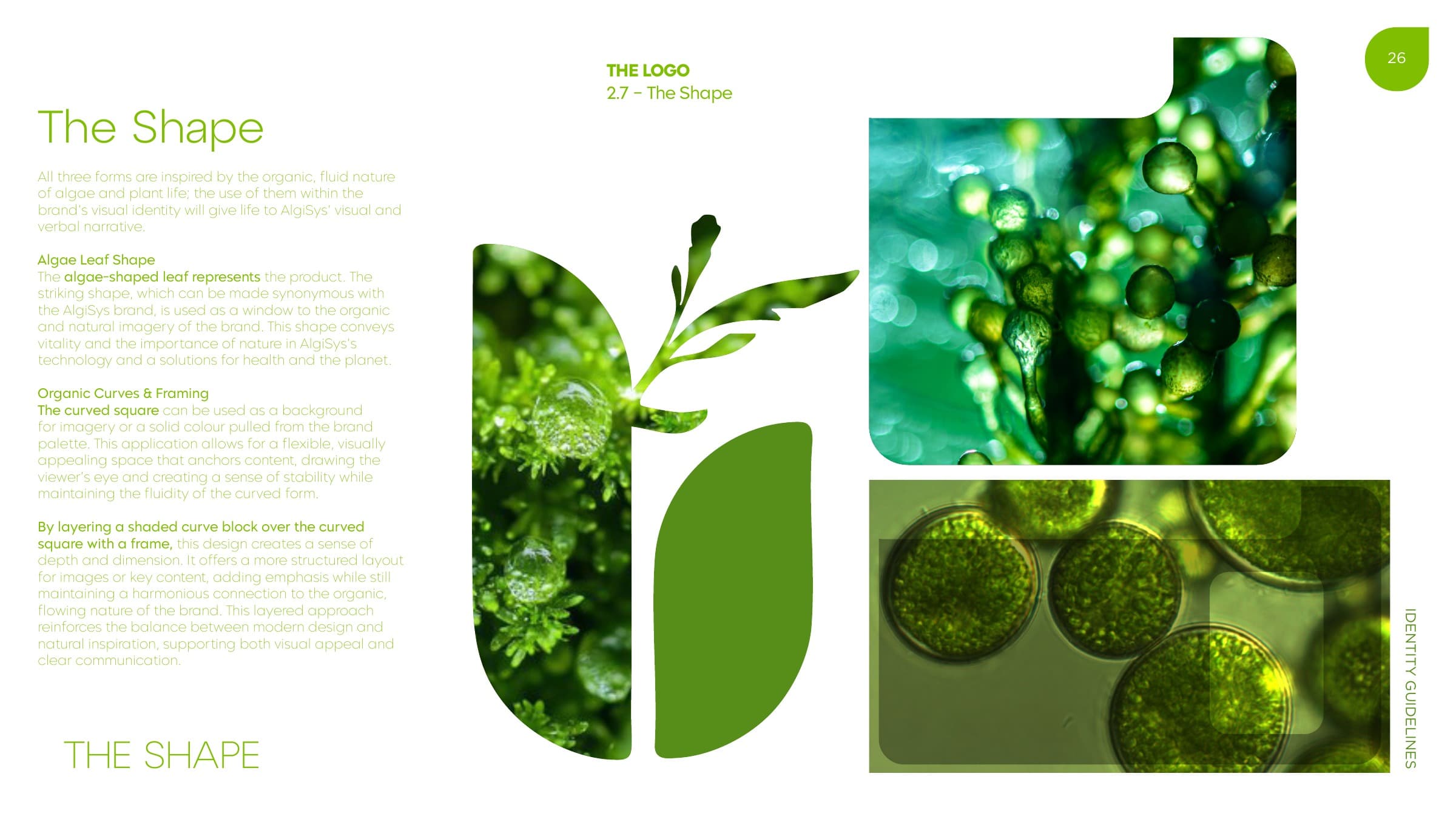 Identity guidelines page 26