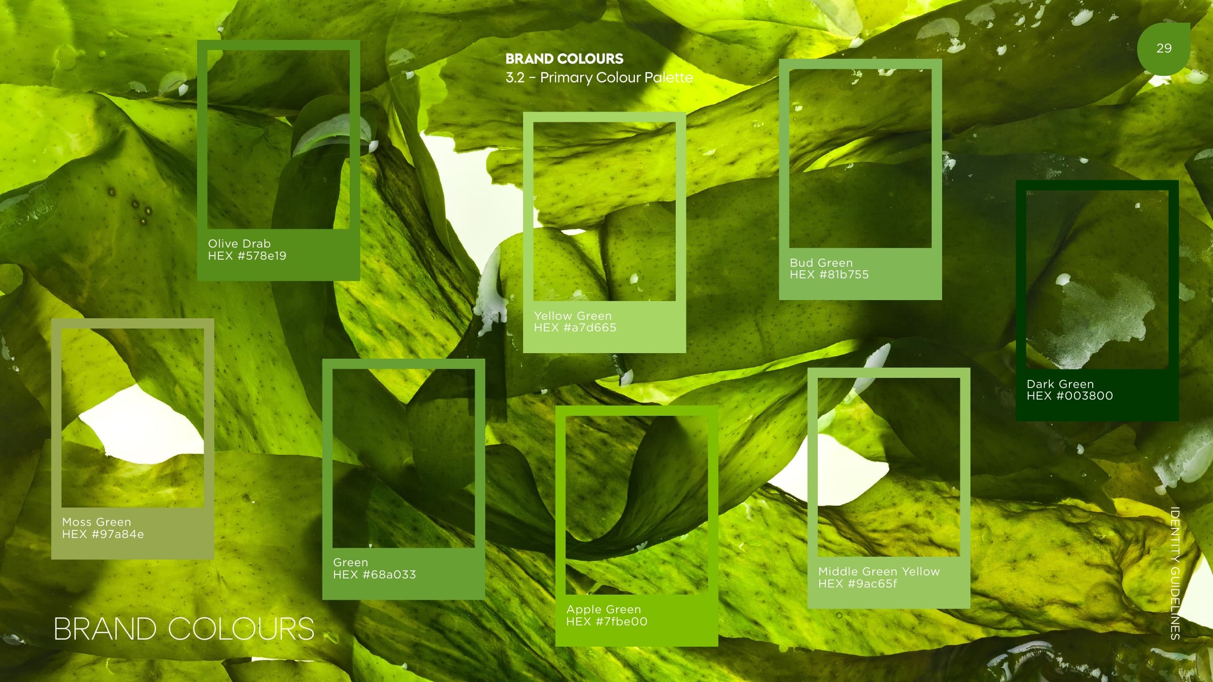 Identity guidelines page 29