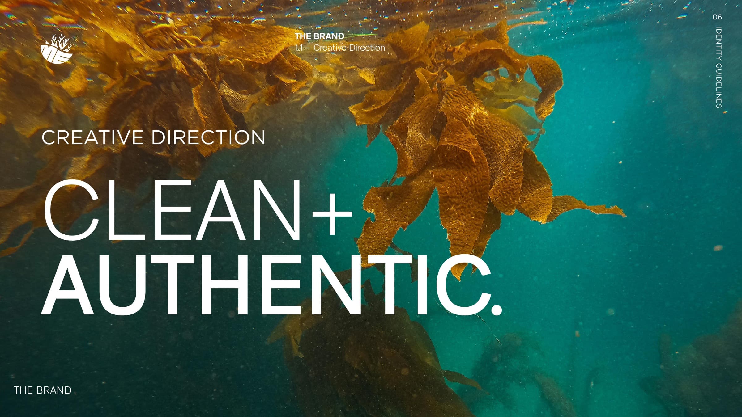 Creative direction: clean + authentic