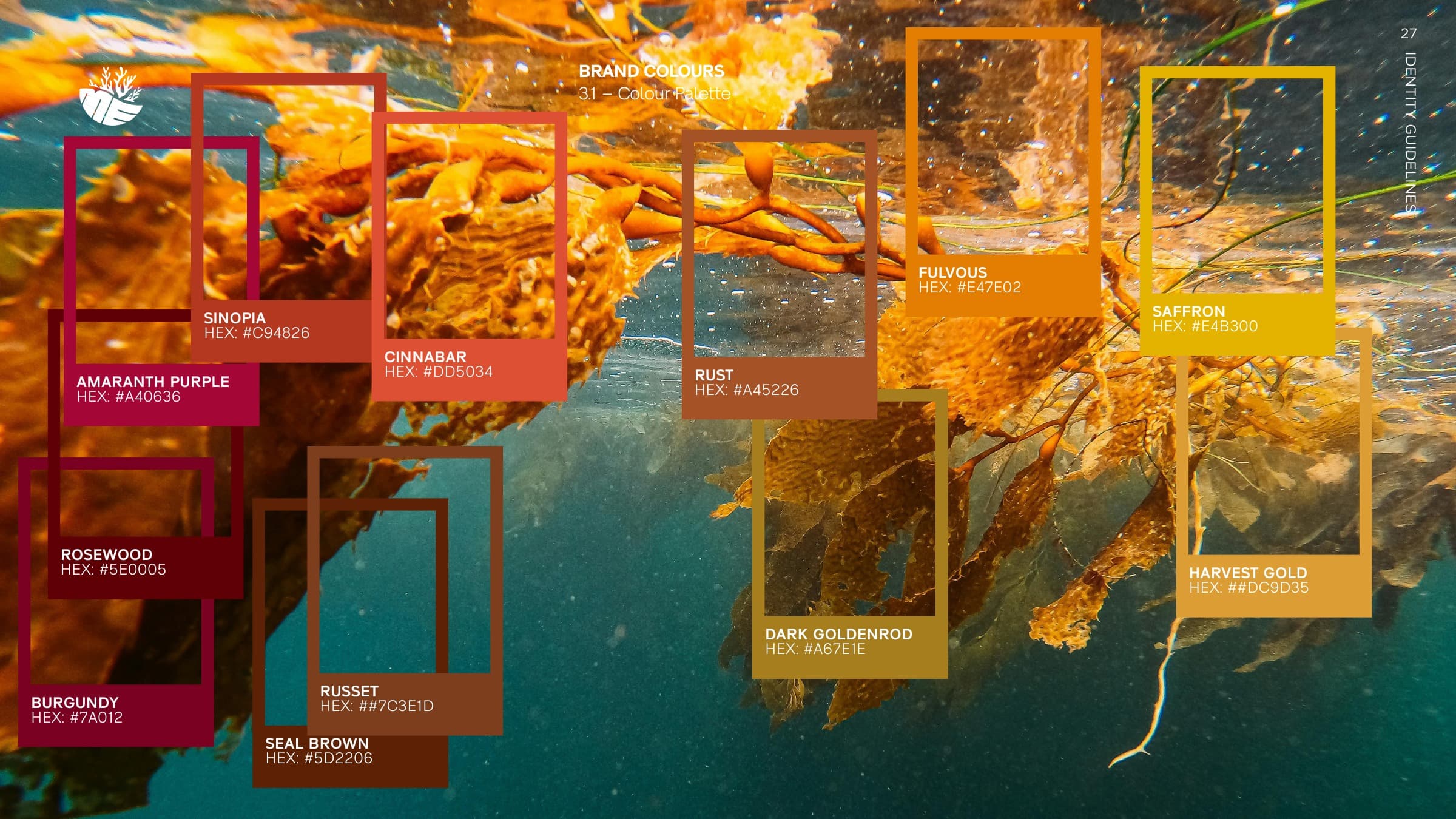 Brand colour palette