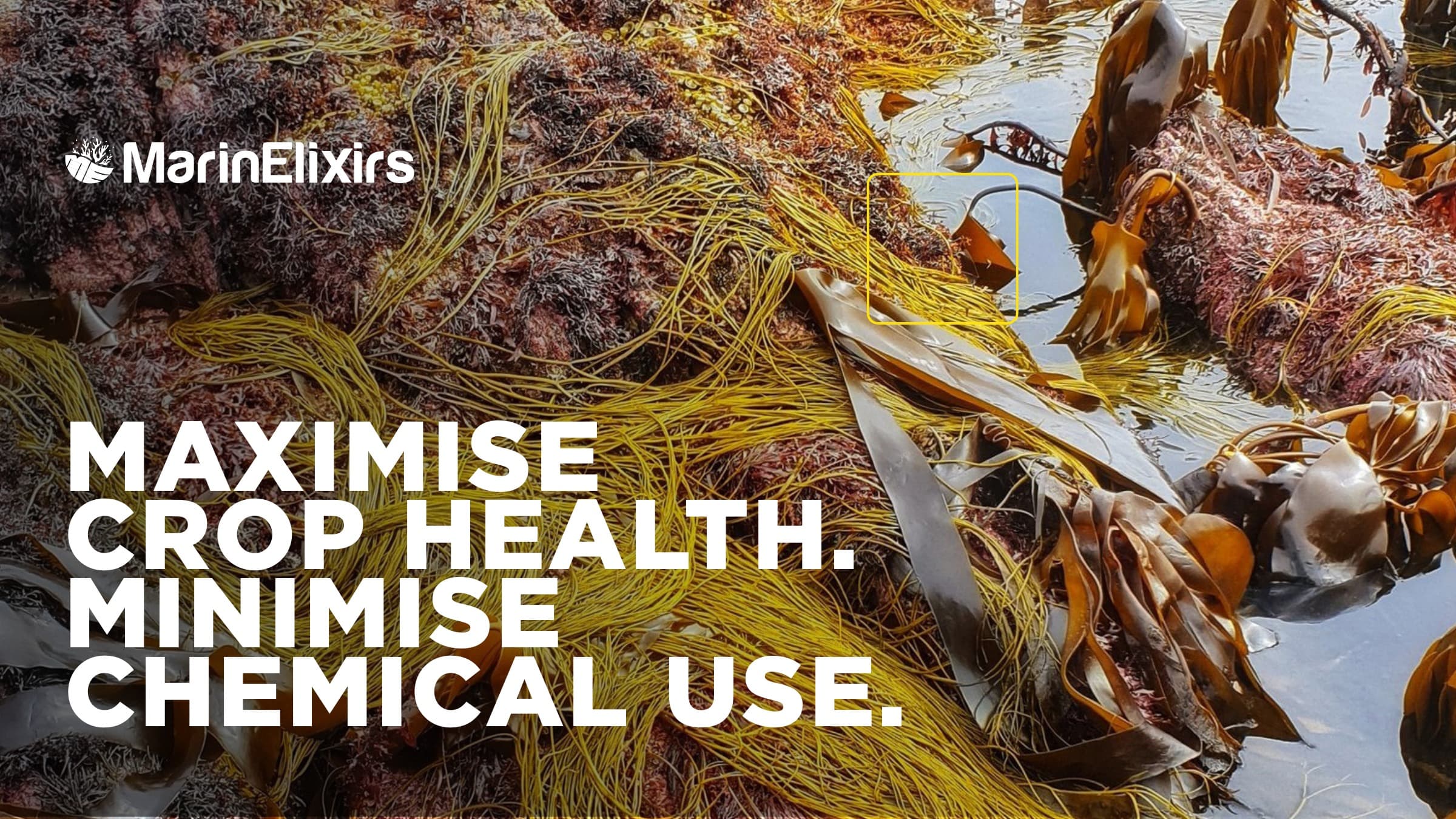 Campaign messaging: maximise crop health