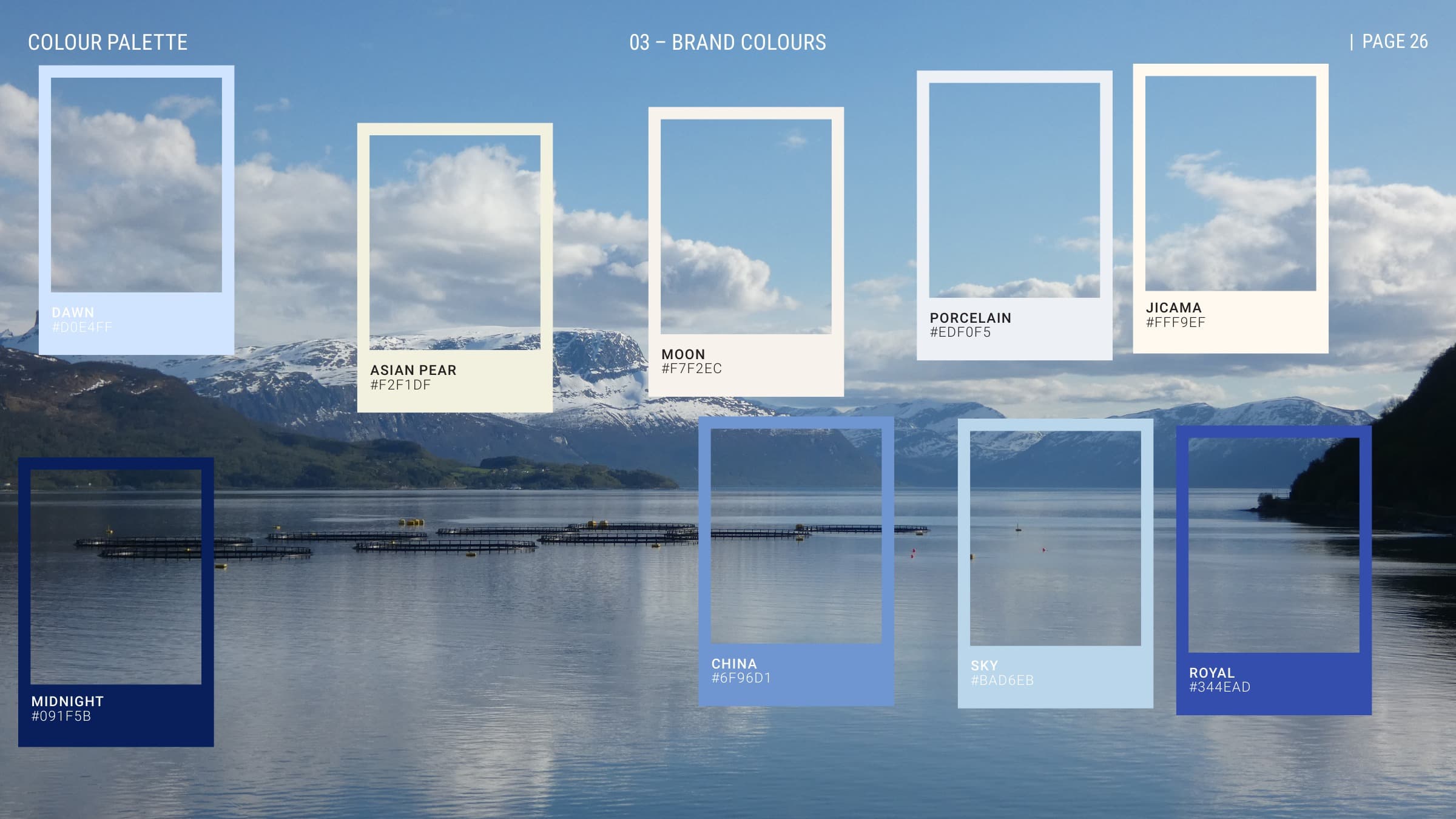 Brand colour palette