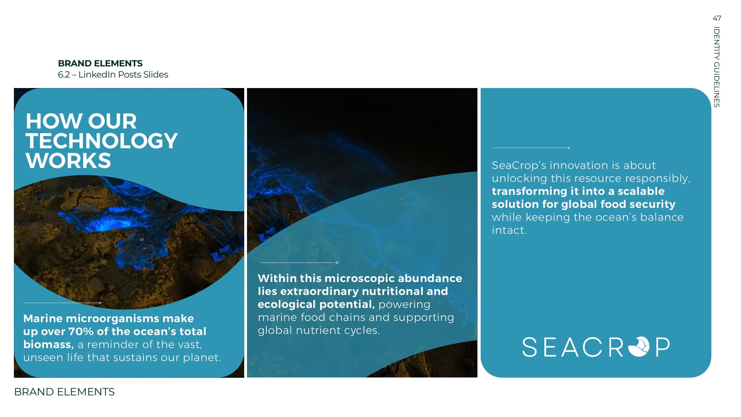 LinkedIn post slides: how our technology works
