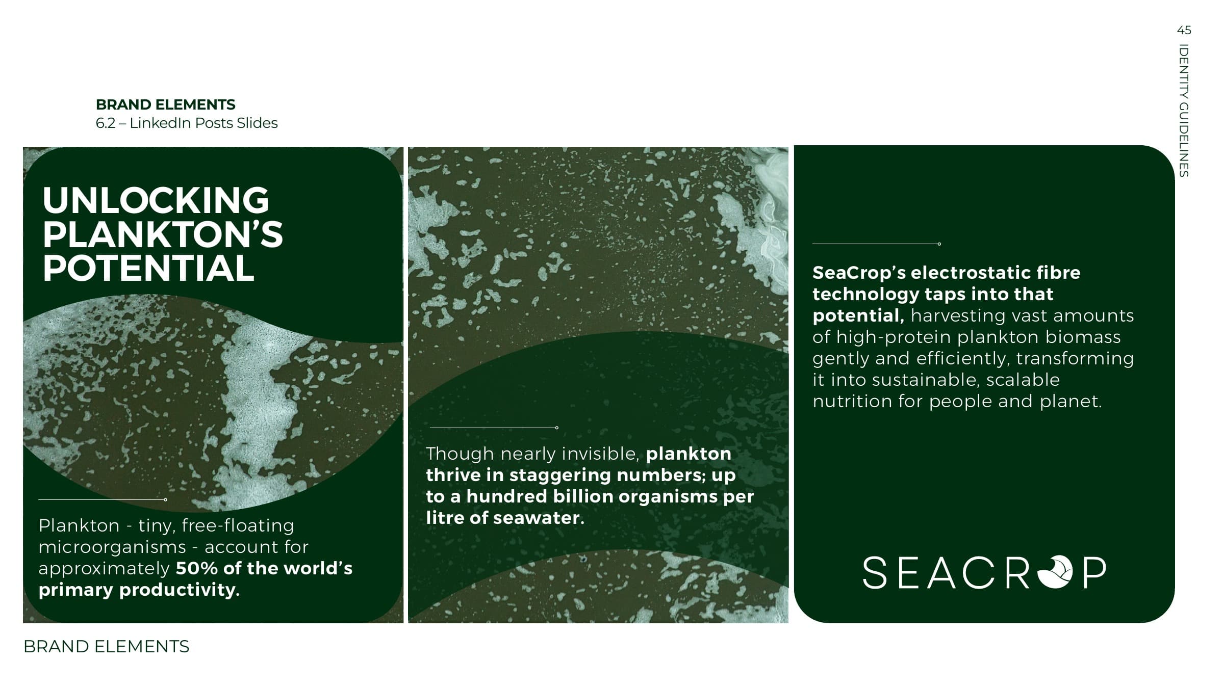 LinkedIn post slides: unlocking plankton's potential