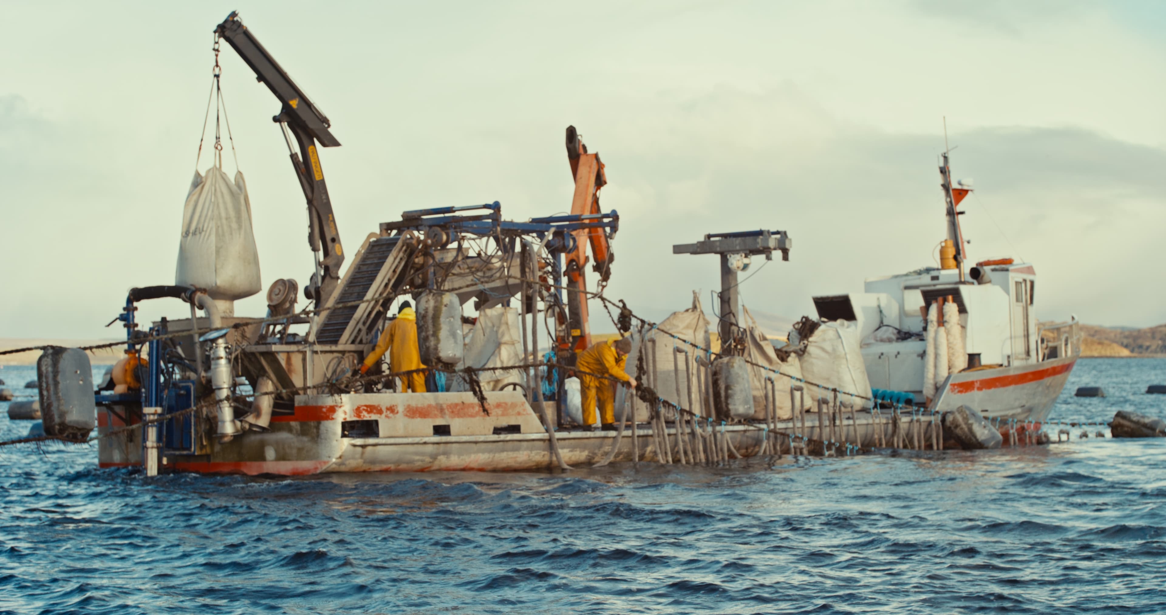 Mussel growers in Ireland