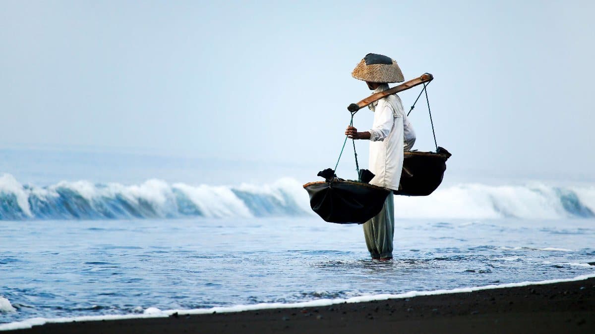 Salt harvester working in the surf
